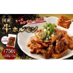 牛肉 ホルモン 牛ホルモン 750g