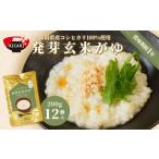 ふるさと納税 玄米 新