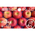 りんご 12月~ サンふじ 訳あり 3kg