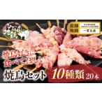鶏肉 焼き鳥 飛騨地鶏 10種類 20本