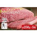 牛肉 サーロイン 昭和50年創業 愛媛あかね和牛サーロインス…