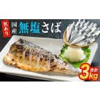 ふるさと納税 魚貝類 宮城県 石巻市 サバ 訳あり 無塩サバ フィレ 3kg (30枚前後) サバフィレ 冷凍 鯖 無塩 フィレ さばフィレ saba サバ 訳アリ 切り身 海鮮 …