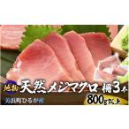 マグロ 天然 地物 ひるがのメジマグロ 柵3本 合計800g以上