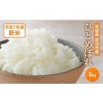 ふるさと納税 米 ひと