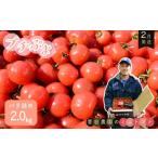 fu.... налог помидор мини помидоры Ibaraki префектура Hokota город мини помидоры ( маленький ..) роза ..2.0kg 2 месяц отправка 2 месяц отправка маленький .. роза ..| 2kg