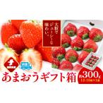 ふるさと納税 いちご 福岡県 鞍手町 福岡県産 あまおう ギフト箱 約300g 南国フルーツ株式会社《12月上旬-3月末頃出荷》福岡県 鞍手町 あまおう いちご イチゴ…