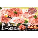 豚肉スペシャルセット約2 560g