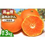 果物類 みかん 南 2026年11月下旬~発送