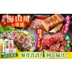カツオ 4回定期便 土佐の海 川 山 鰹たたき