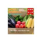 セット 詰合せ 2027年6月上旬~8月下旬迄発送