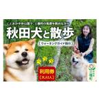 ふるさと納税 体験チケット 秋田県 三種