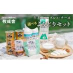 ふるさと納税 飲料類 牛乳 岐阜県 飛騨市  すぐ届く ヨーグルト・チーズ堪能セット よりどり乳製品セット 詰め合わせ 福袋 牛乳・ヨーグルト・チーズ　飛騨産…