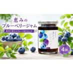 ジャム ブルーベリー ブルーベリージャム