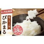 米 新米 6ヶ月定期便 低アミロース米 ぴかまる 3kg×6回