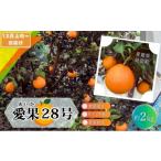 ふるさと納税 みかん・柑橘類 愛媛県 砥部町  先行予約 数量限定 訳あり愛果28号 サイズ不揃い 約2kg 約10玉前後 12月上旬頃から順次発送 家庭用 農園 直送 み…