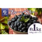 ふるさと納税 果物類 長野県 豊丘村  2026年発送先行予約 生ブルーベリー　約1kg（100g×10パック） 2026年6月中旬〜7月上旬発送予定