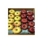 ふるさと納税 りんご 青森県 黒石市 サンふじ&ぐんま名月 家庭用 約5キロ　農家直送　青森りんご 1568470