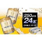 ふるさと納税 ビール 愛知県 名古屋市 アサヒ生ビールマルエフ250ml缶 24本入 1ケース