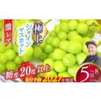 ぶどう マスカット 2027年発送分 激レア
