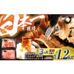 牛肉 ステーキ 3回定期便 長崎和牛 焼肉セット 600g×2パック