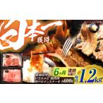 牛肉 ステーキ 6回定期便 長崎和牛 焼肉セット 600g×2パック