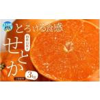 ジューシー柑橘 せとか 約3kg