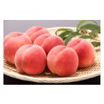 ふるさと納税 もも 山形県 天童市 07-08-009 9月品種おまかせ白桃 3kg