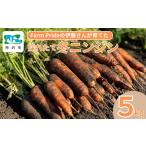 fu.... налог овощи вид морковь Saitama префектура Tokorozawa город морковь ..(.....) 5kg | морковь морковь человек Gin Carrot ..... овощи зеленый желтый цвет овощи салат Мали nes...