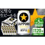 ふるさと納税 ビール 大分県 日田市  全5回定期便 サッポロ生ビール 黒ラベル 350ml×24缶　合計120缶 日田市 ／ 株式会社綾部商店　ビール サッポロ お酒 酒 …