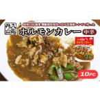 加工品等 レトルト 舞鶴名物 ホルモンカレー 10個