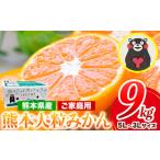 ふるさと納税 果物類 みかん 熊本県 荒尾市 みかん 訳あり 大玉 大粒 ミカン 9kg 熊本 ちょっと 訳あり 傷 5L〜3Lサイズ たっぷり 熊本県産(荒尾市産含む) 熊…