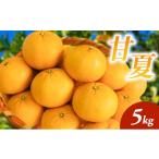 みかん 柑橘類 甘夏 5kg