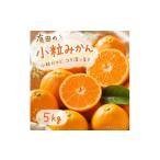果物類 みかん 紀州有田産せとか約5kg