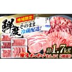 豚肉 しゃぶしゃぶ 冷蔵配送 地域 瑞浪ボーノポーク