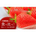 ふるさと納税 いちご 滋賀県 米原市 川瀬農園のいちご食べ比べセット　4パック（紅ほっぺ・かおり野　各2P） No.5694-1005