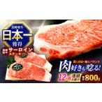 牛肉ステーキ サーロイン ステーキ 約800g