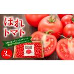 fu.... налог овощи вид помидор Gifu префектура .. город высота сахар раз [.. помидор ]3kg первоклассный мини помидоры сахар раз 10 раз и больше | помидор ... мини помидоры фрукты помидор овощи ......