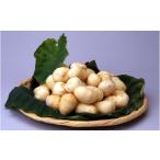 人参 大根 他根菜 特産品やはたいも 里芋 4kg相当