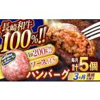 ハンバーグ 5個