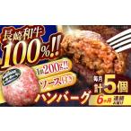 牛肉 ハンバーグ 6回定期便 長崎和牛ハンバーグ 5個