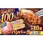 ハンバーグ 10個