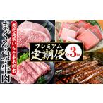 マグロ 3ヶ月定期便 いちき串木野プレミアム定期便