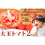 訳あり トマト 大玉 大玉トマト わけあり 2kg