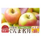 ショッピングふるさと納税 訳あり 不揃い ふるさと納税 りんご 青森県 弘前市  26年1月発送 りんご 平均糖度13度以上 ぐんま名月 約10kg 訳あり 青森 果物 フルーツ 林檎 リンゴ くだもの 不揃い 規格…
