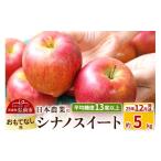 ふるさと納税 りんご 青森県 弘前市  25年12月発送 りんご 平均糖度13度以上 シナノスイート 約5kg おもてなし用 青森 果物 フルーツ 林檎 リンゴ くだもの