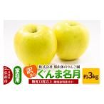 ショッピングふるさと納税 訳あり 傷 ふるさと納税 りんご 青森県 弘前市  25年11月〜発送 りんご 訳あり 家庭用 ぐんま名月 約3kg 糖度13度以上（糖度証明書付） 先行受付 青森 果物 フルーツ 林…