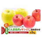 ふるさと納税 りんご 青森県 弘前市 25年11月〜発送 りんご 訳あり 家庭用 ぐんま名月&サンふじ 詰め合わせ 約5kg 糖度13度以上(糖度証明書付) 先行受付