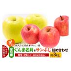 ふるさと納税 りんご 青森県 弘前市 25年11月〜発送 りんご 訳あり 家庭用 ぐんま名月&サンふじ 詰め合わせ 約3kg 糖度13度以上(糖度証明書付) 先行受付 …
