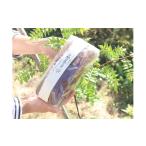 焼菓子 チョコレート パウンドケーキ ほんのり山椒香るココ…