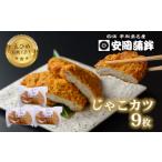魚貝類 かまぼこ \10営業日以内発送 じゃこカツ 9枚